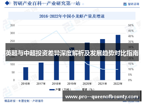 英超与中超投资差异深度解析及发展趋势对比指南