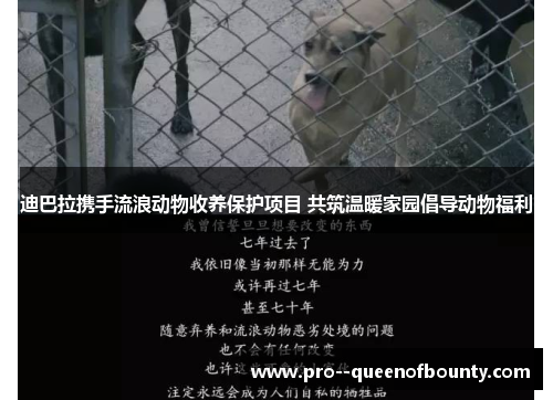 迪巴拉携手流浪动物收养保护项目 共筑温暖家园倡导动物福利 迪巴拉携手流浪动物收养保护项目 共筑温暖家园倡导动物福利