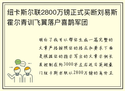 纽卡斯尔联2800万镑正式买断刘易斯霍尔青训飞翼落户喜鹊军团