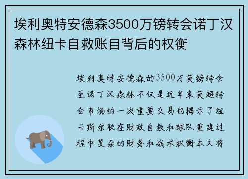 埃利奥特安德森3500万镑转会诺丁汉森林纽卡自救账目背后的权衡